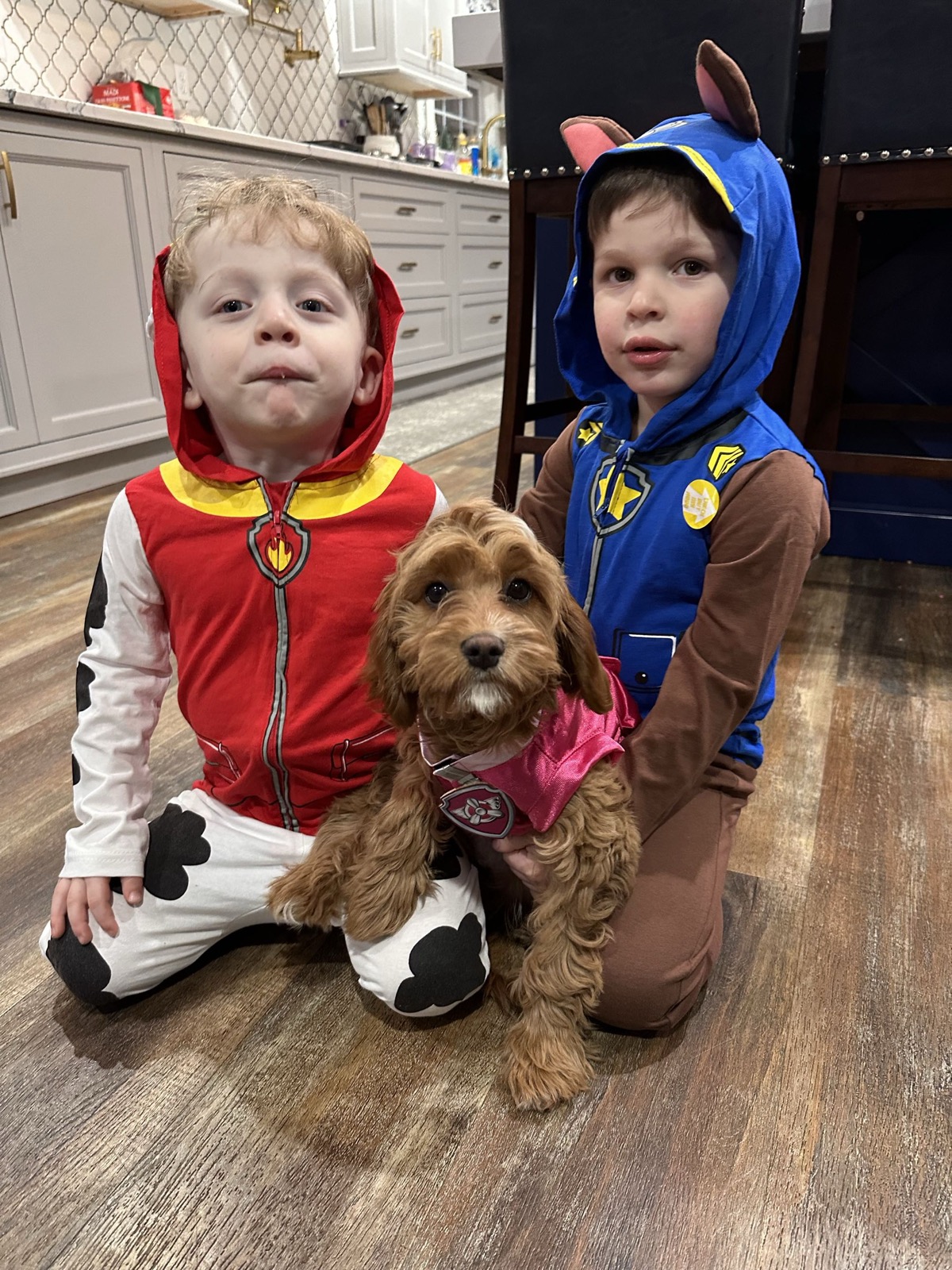 Skye with our boys